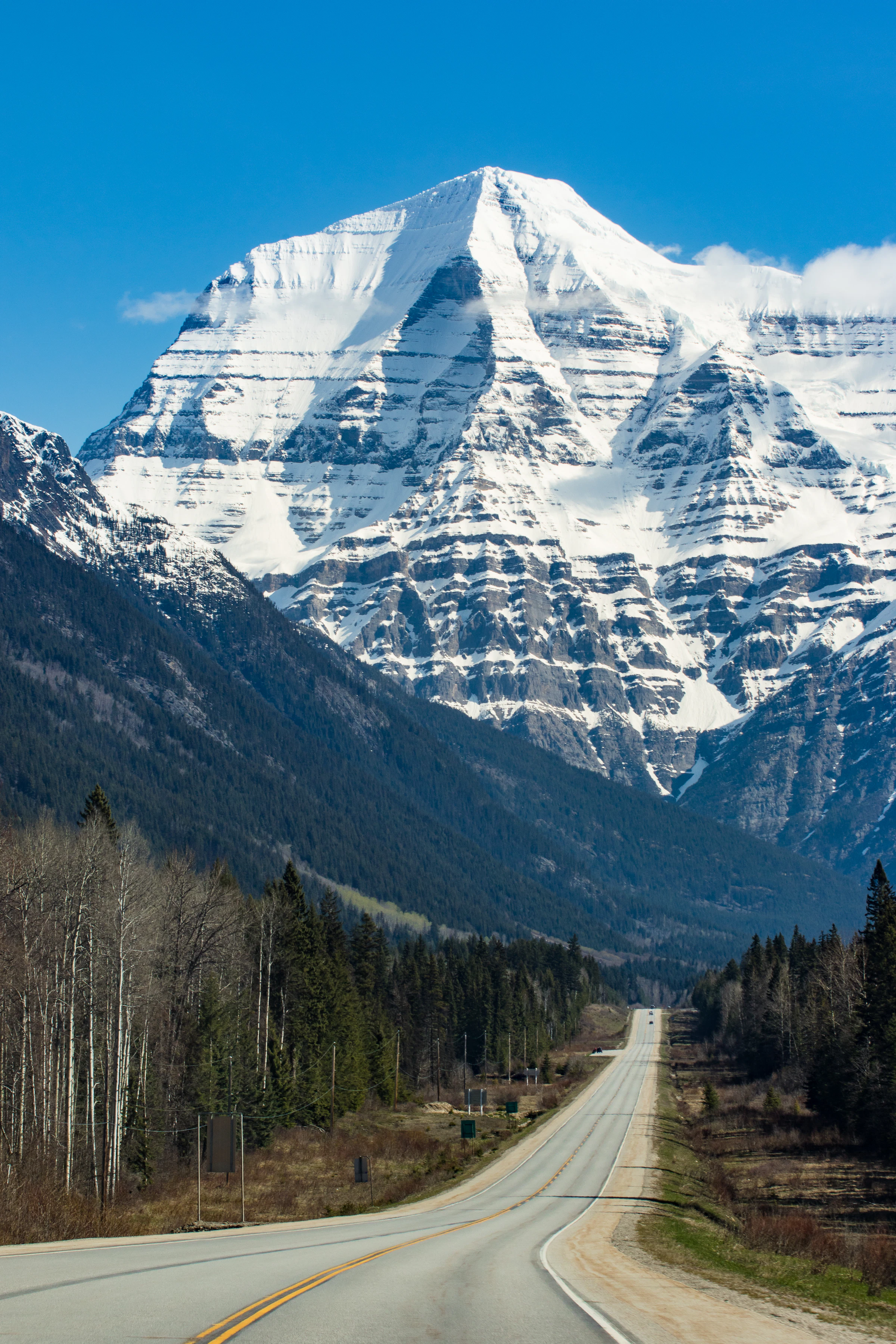 A dramatic Canadian mountain peak rising above the tree line