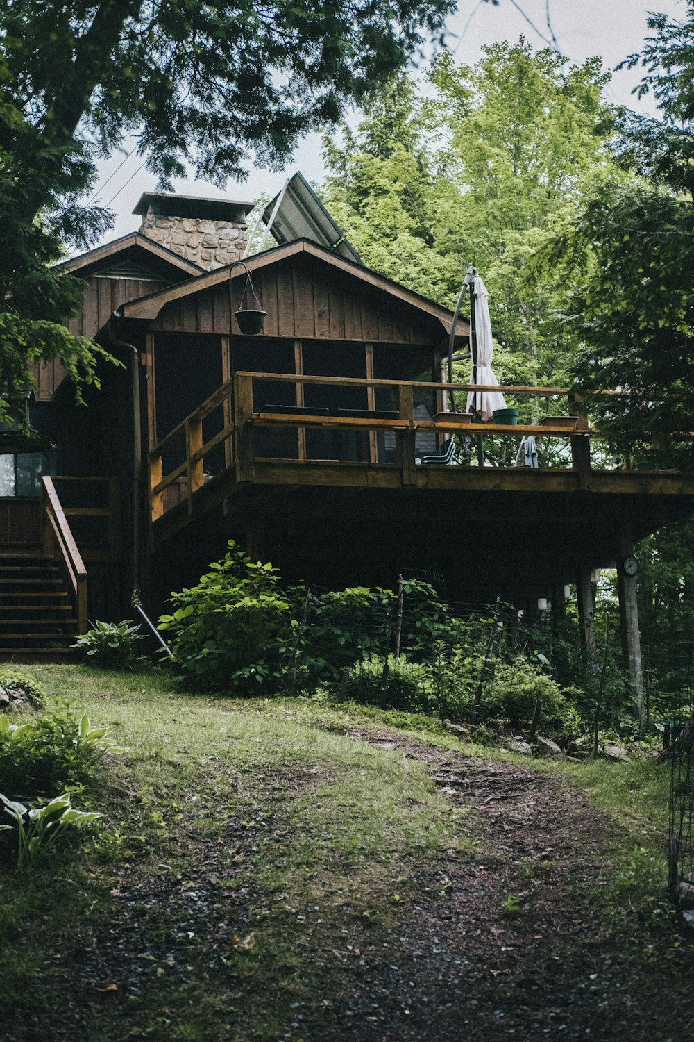 cabane dans les arbres en bois marron