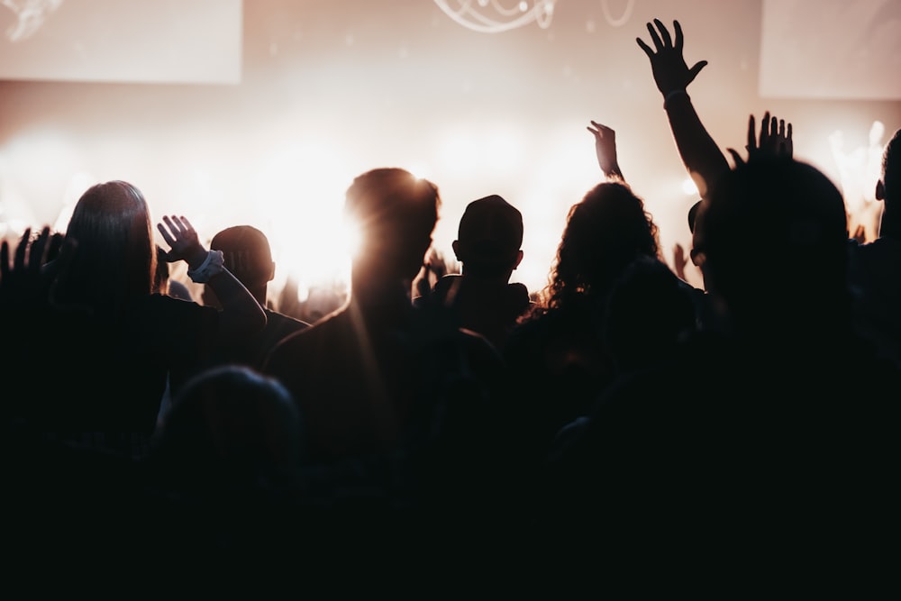 silhouette photography of crowd of people in a concert