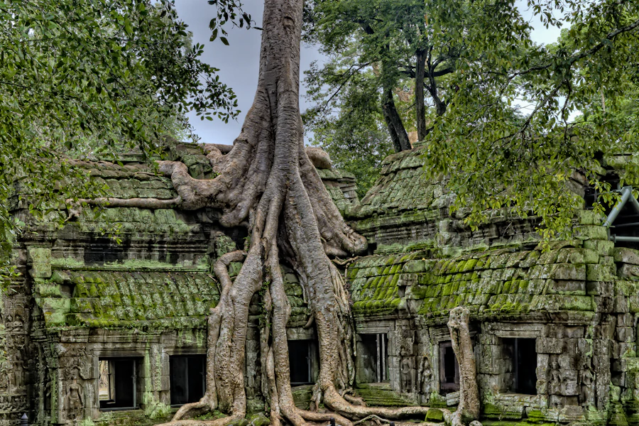 Banteay Srei