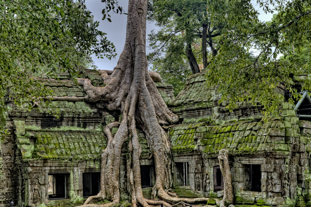 Historic site photo spot Ta Prohm Cambodia