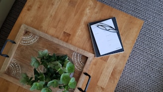 green-leafed plants on brown tray