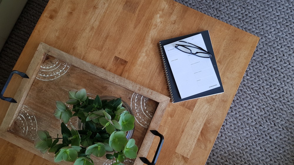 green-leafed plants on brown tray