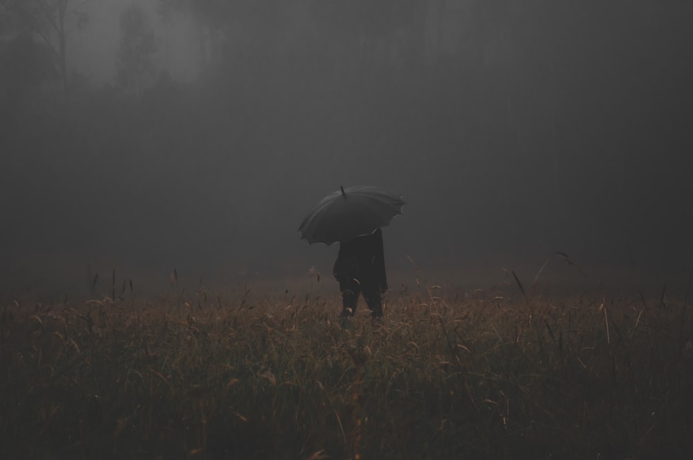 person holding gray umbrellas standing in the middle of grass field