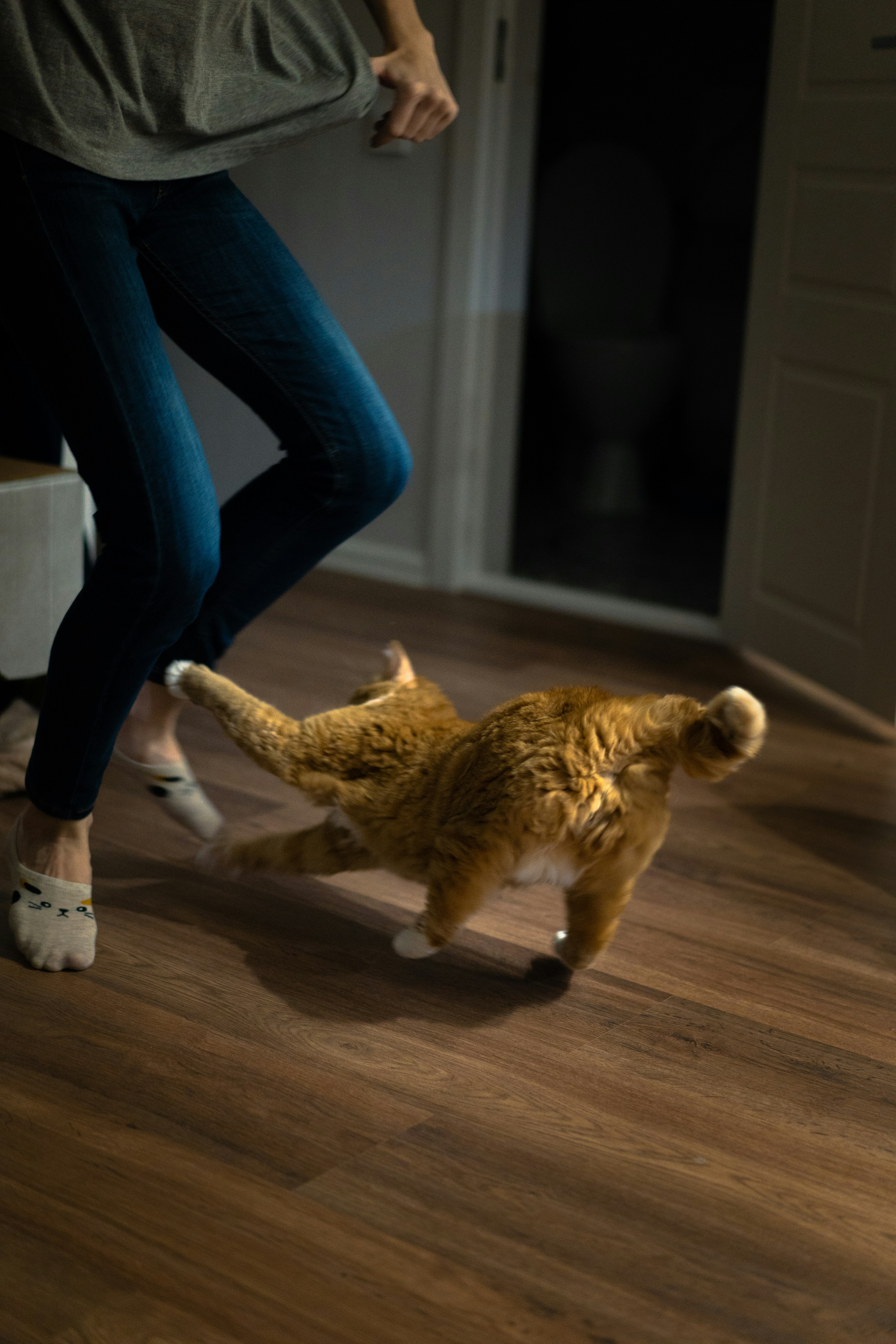 Engage in Interactive Play (image credits: unsplash)