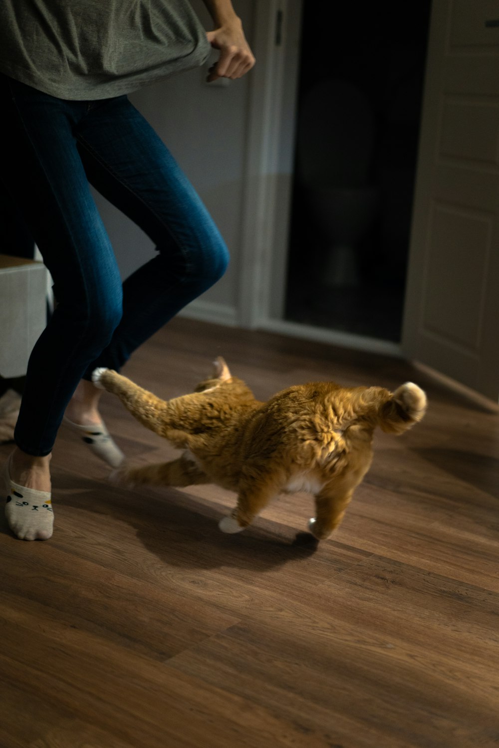 Persona de pie frente a gato naranja