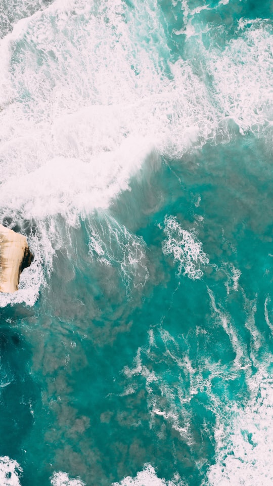 aerial photography of beach in Tunnel Beach Track New Zealand