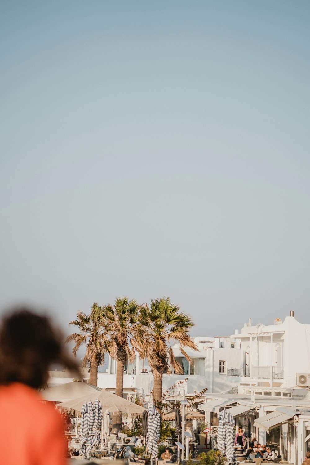 three palm trees during daytime