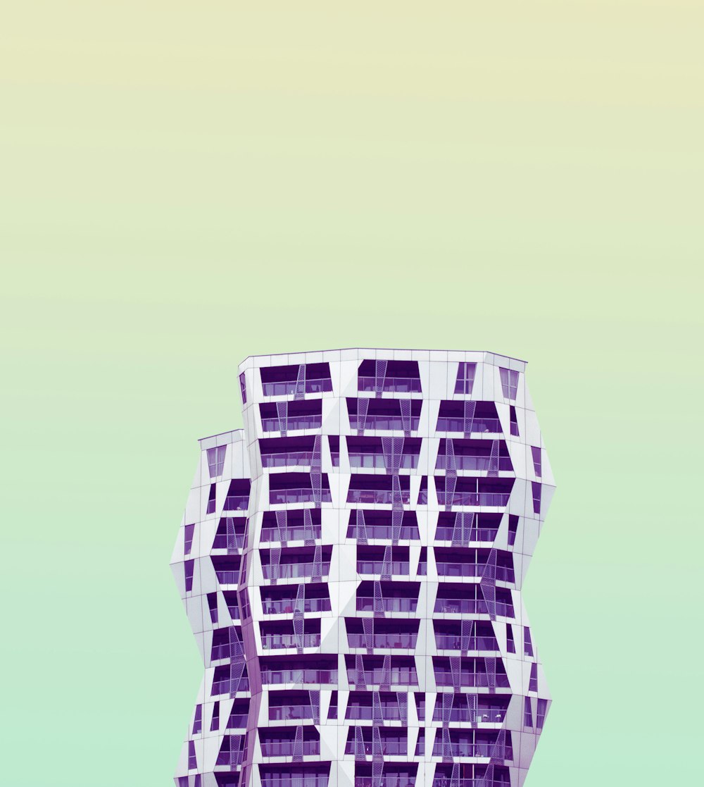 purple illustration