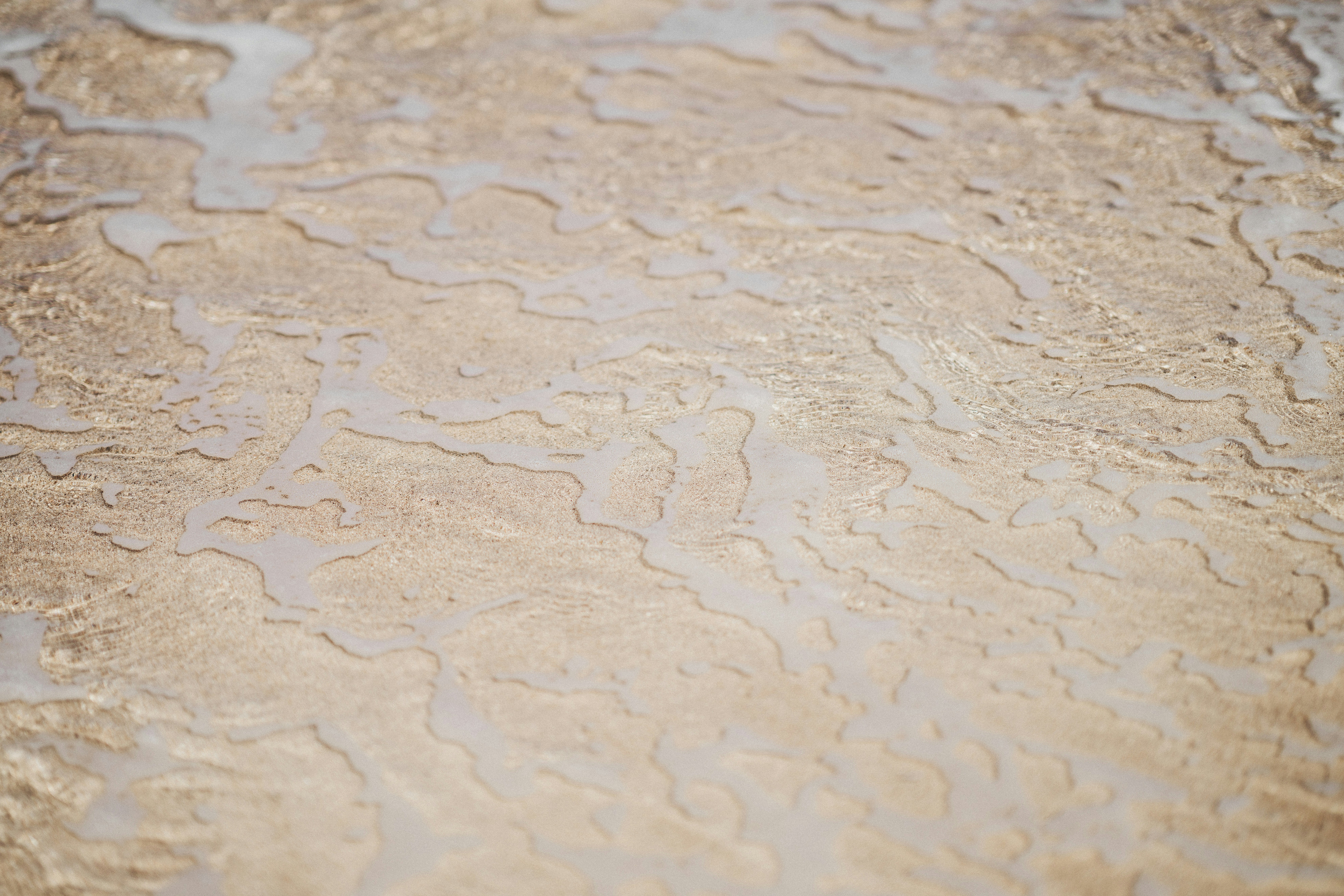 Photo by anniespratt