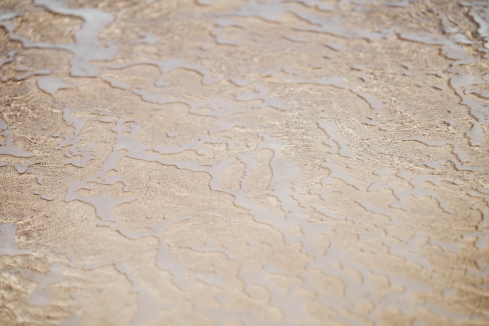 a close up of a wet surface with water on it