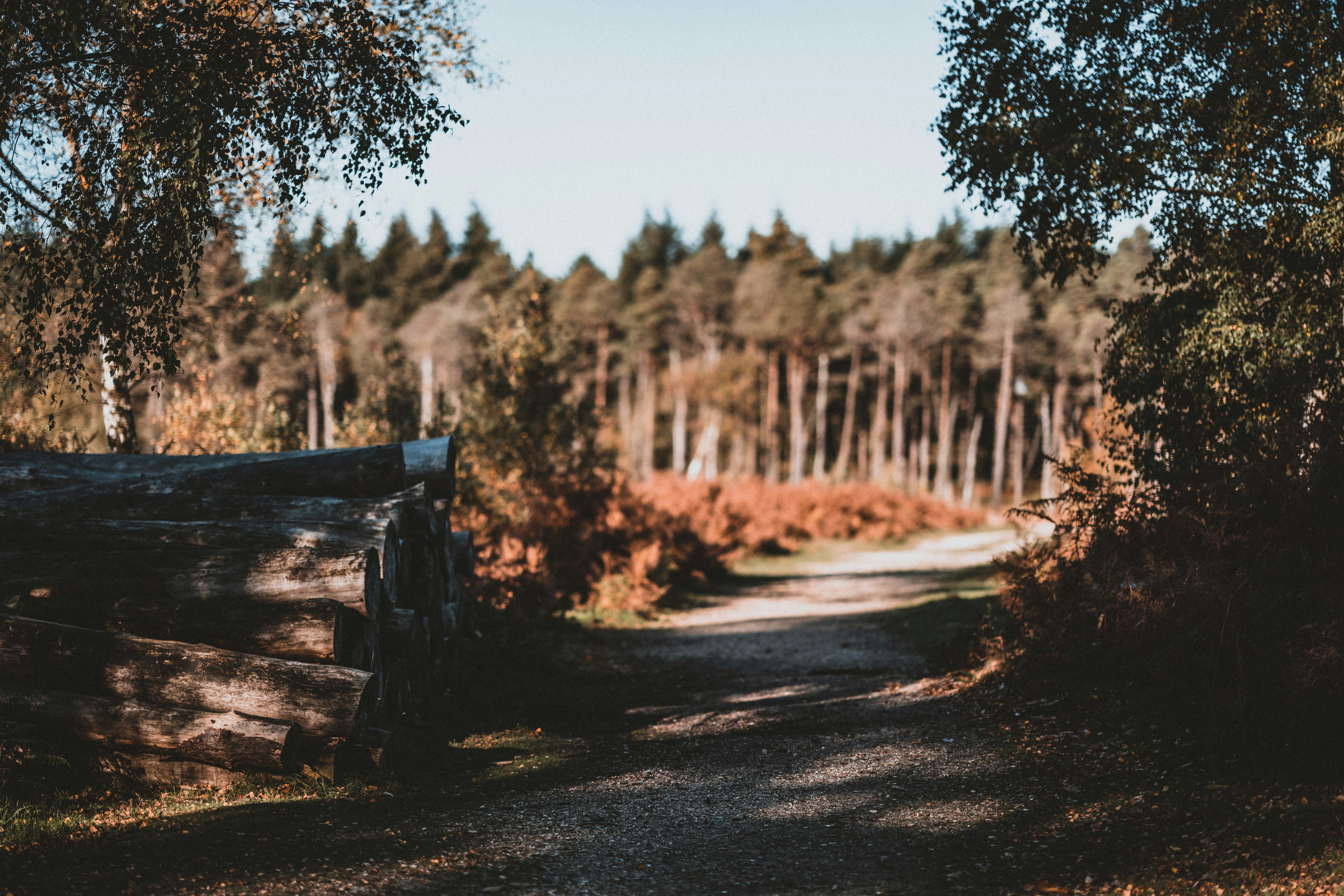 Photo by anniespratt