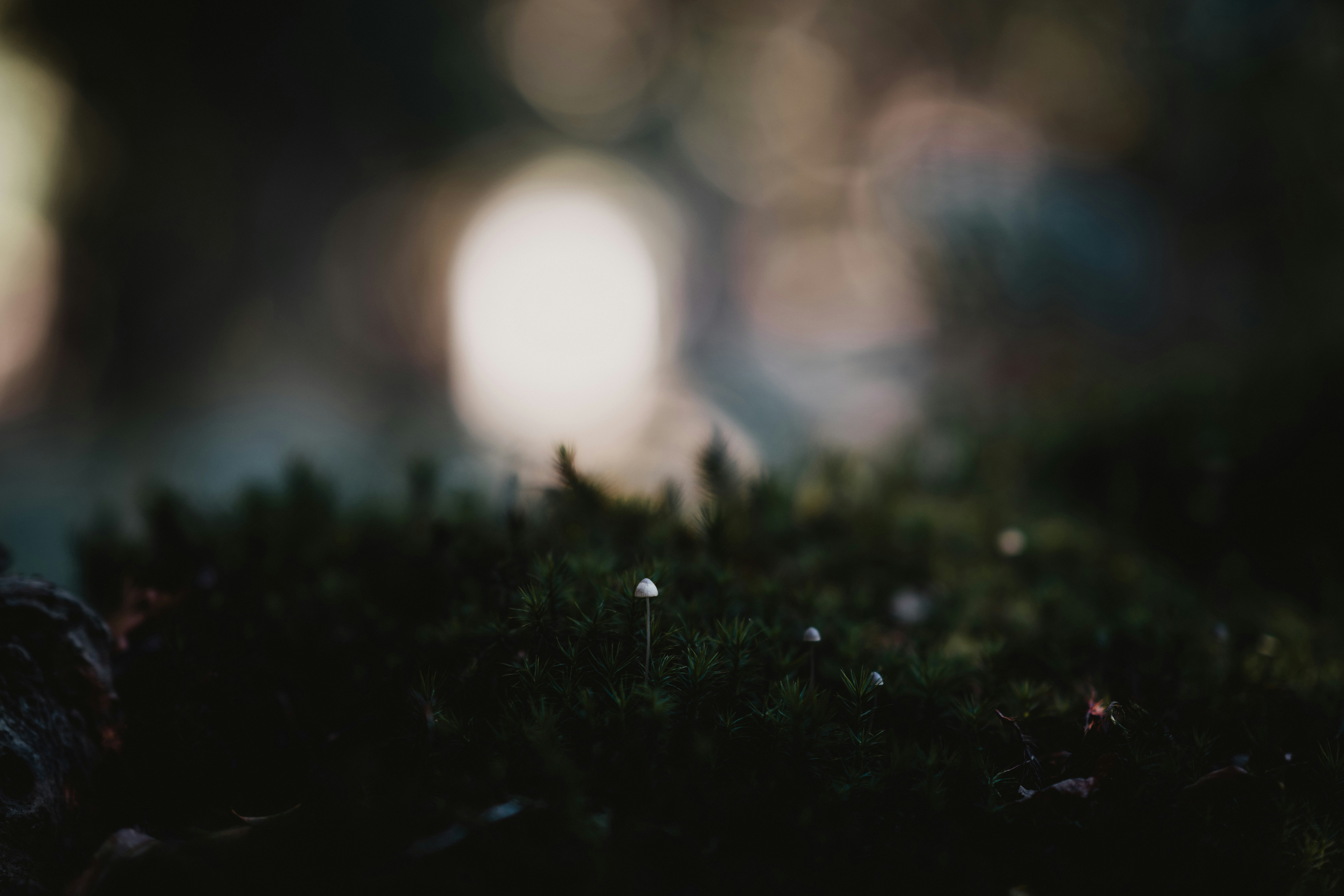 Photo by anniespratt