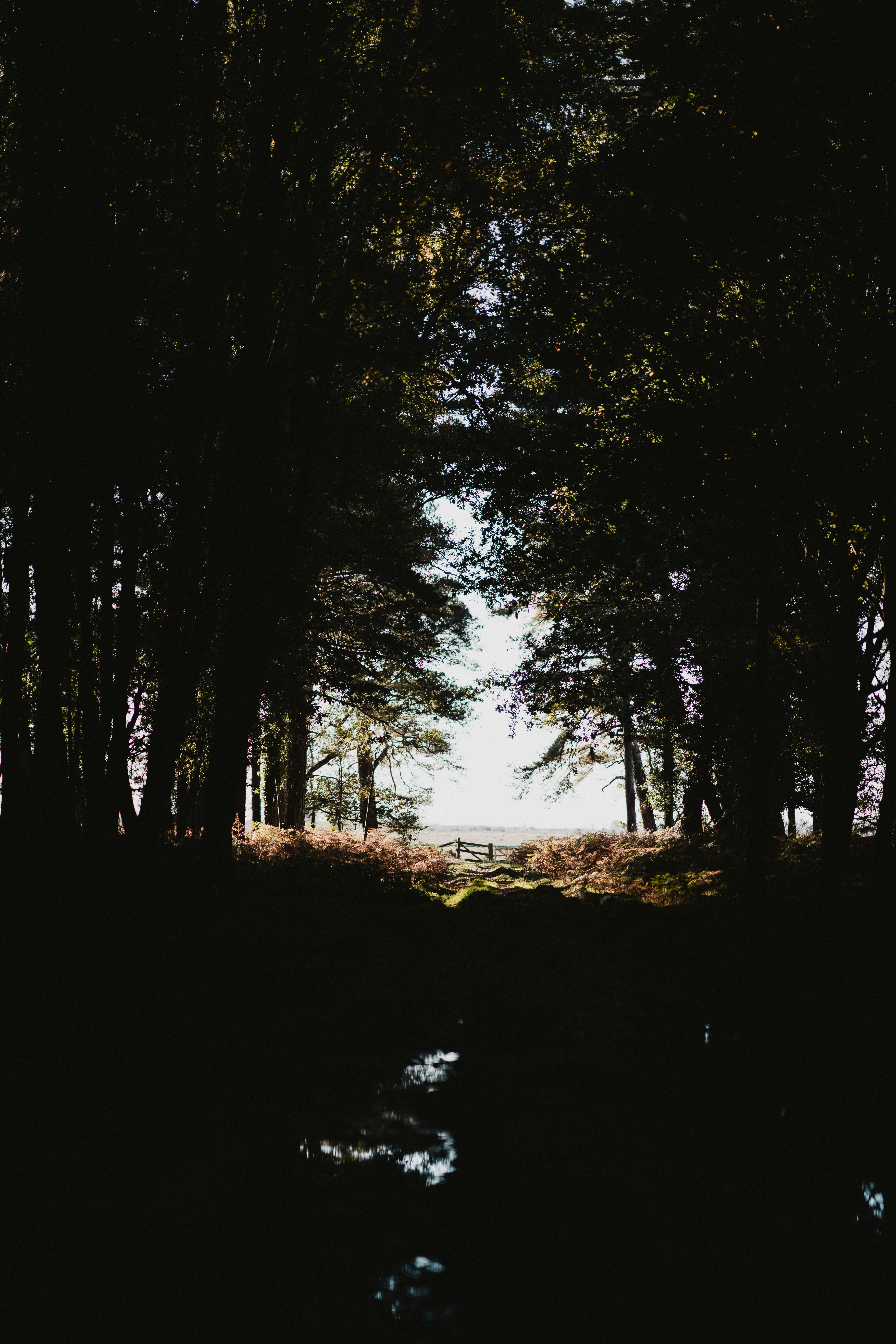 Photo by anniespratt