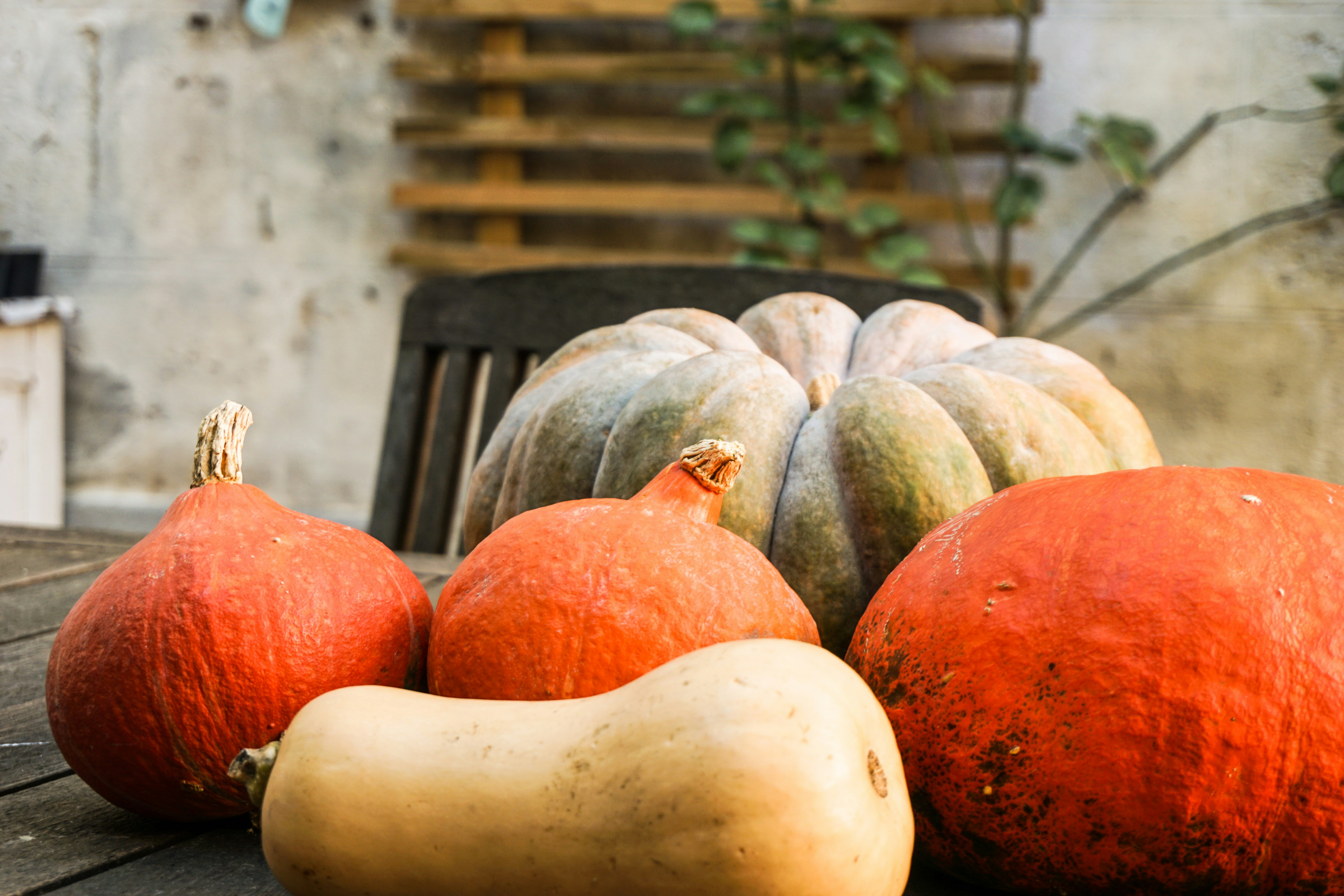 Photo by marie_thibault