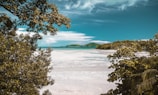 aerial photography of white sand beach during daytime