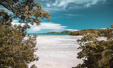 aerial photography of white sand beach during daytime
