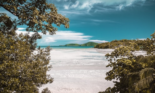 aerial photography of white sand beach during daytime