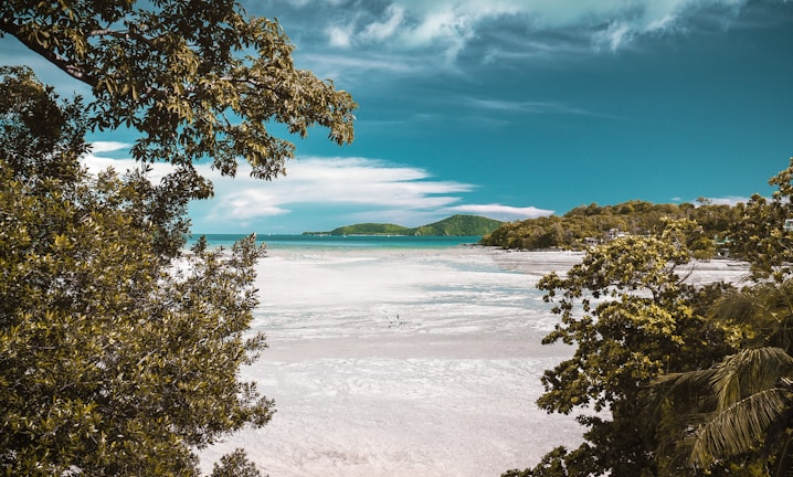 aerial photography of white sand beach during daytime