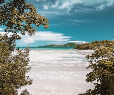 aerial photography of white sand beach during daytime