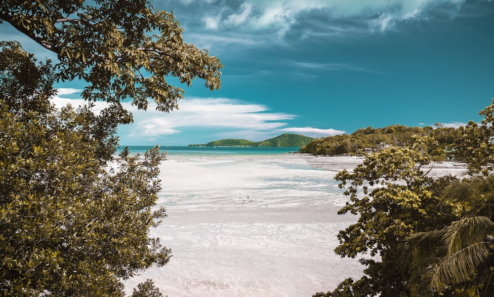 Photographie aérienne d’une plage de sable blanc pendant la journée