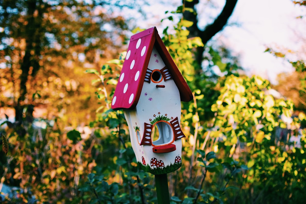 white and pink bird house