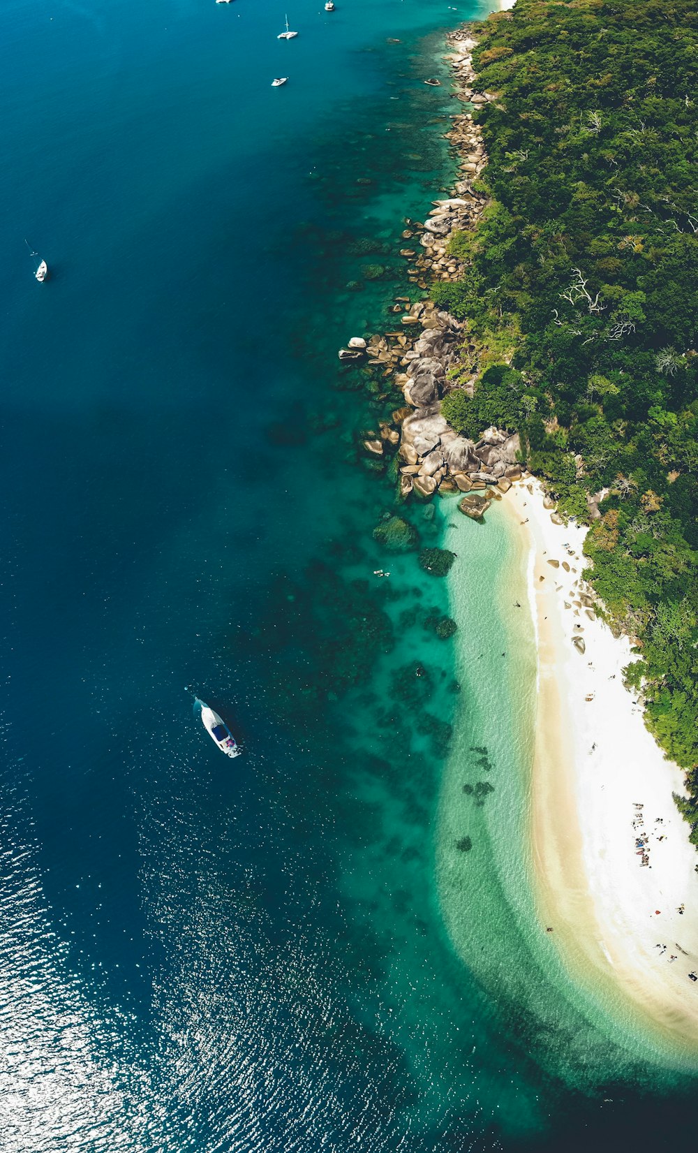 aerial photography of boats on green body of water near forest during daytime