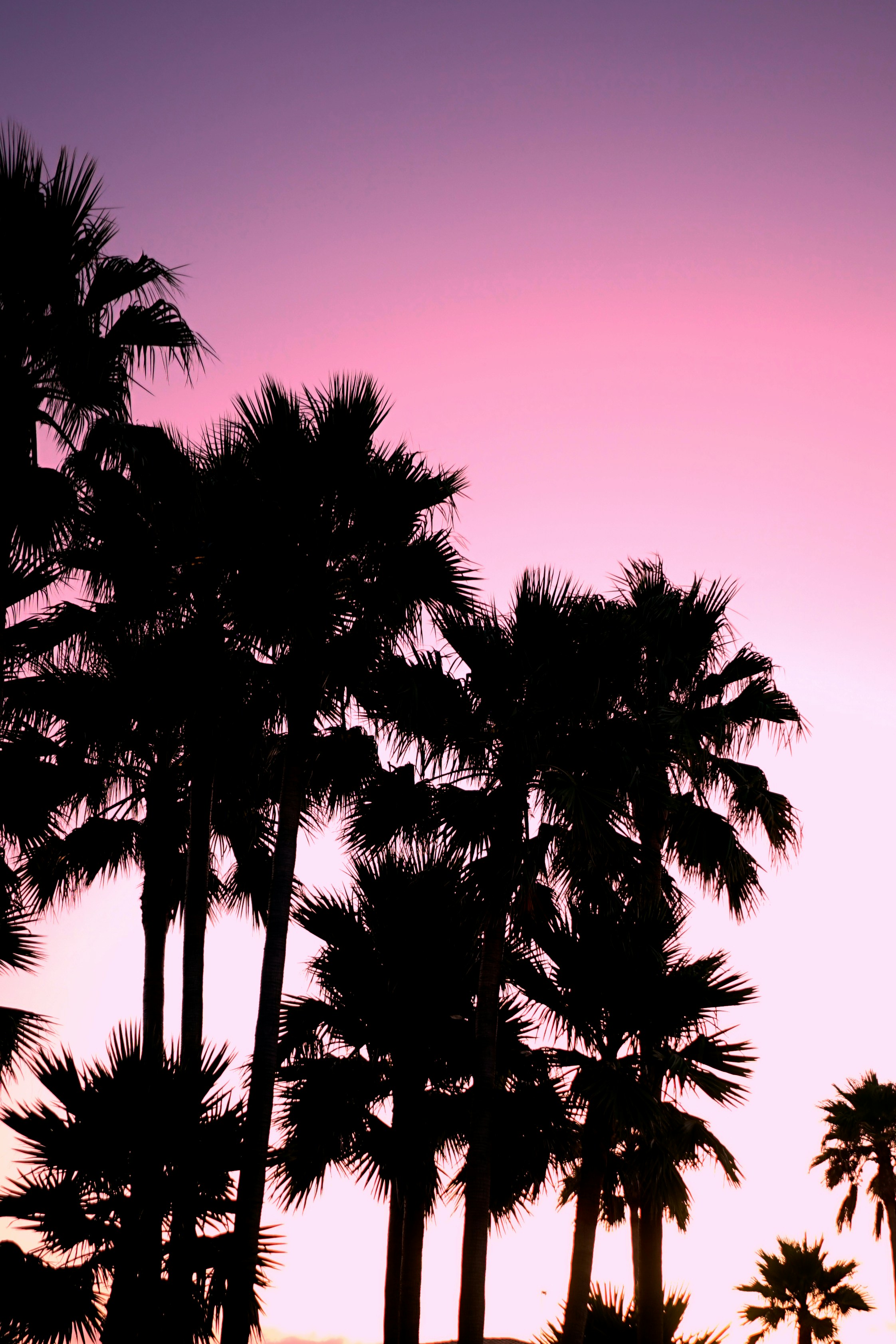 Photo by bruno_kelzer