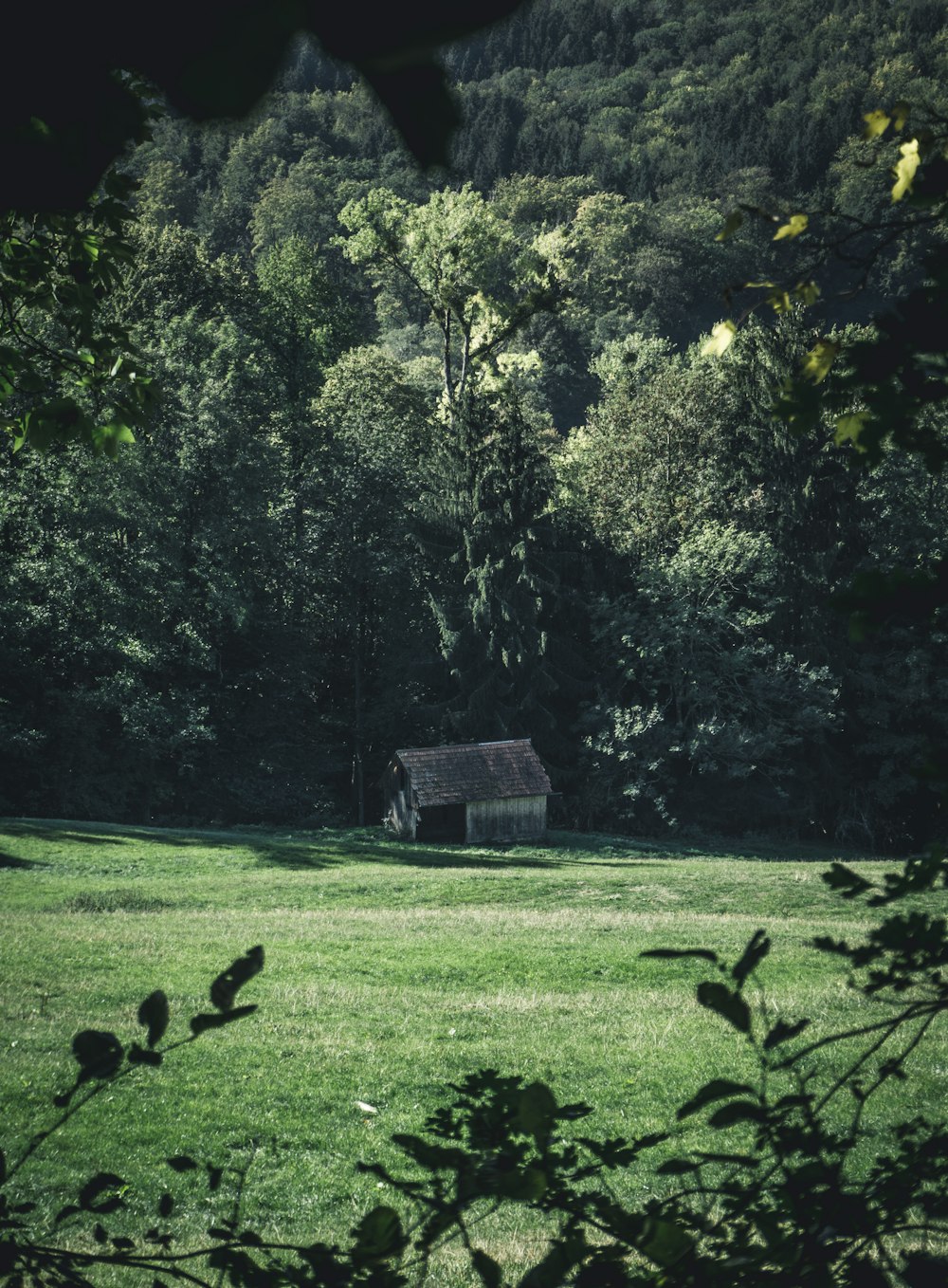 brown house near trees