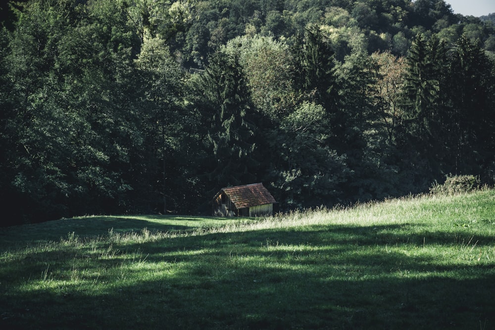 a grassy field with a shed in the middle of it