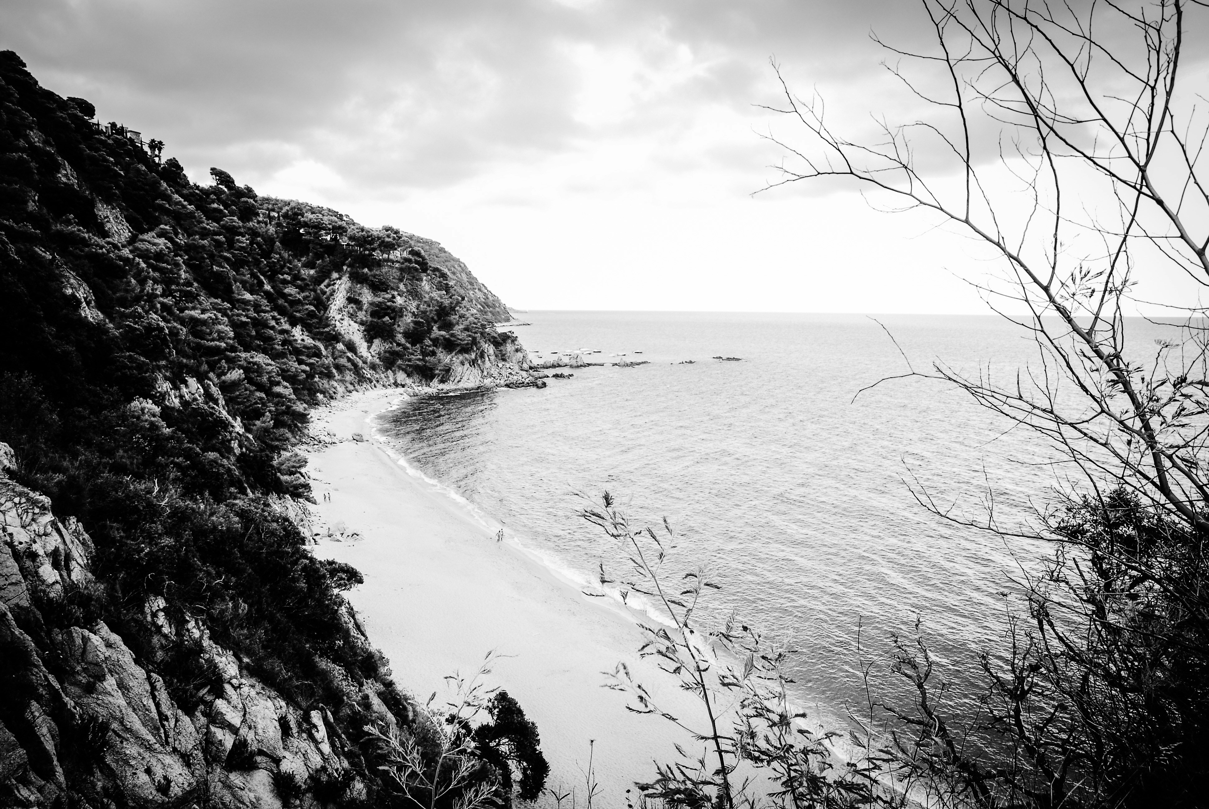 Photo by alekssei199