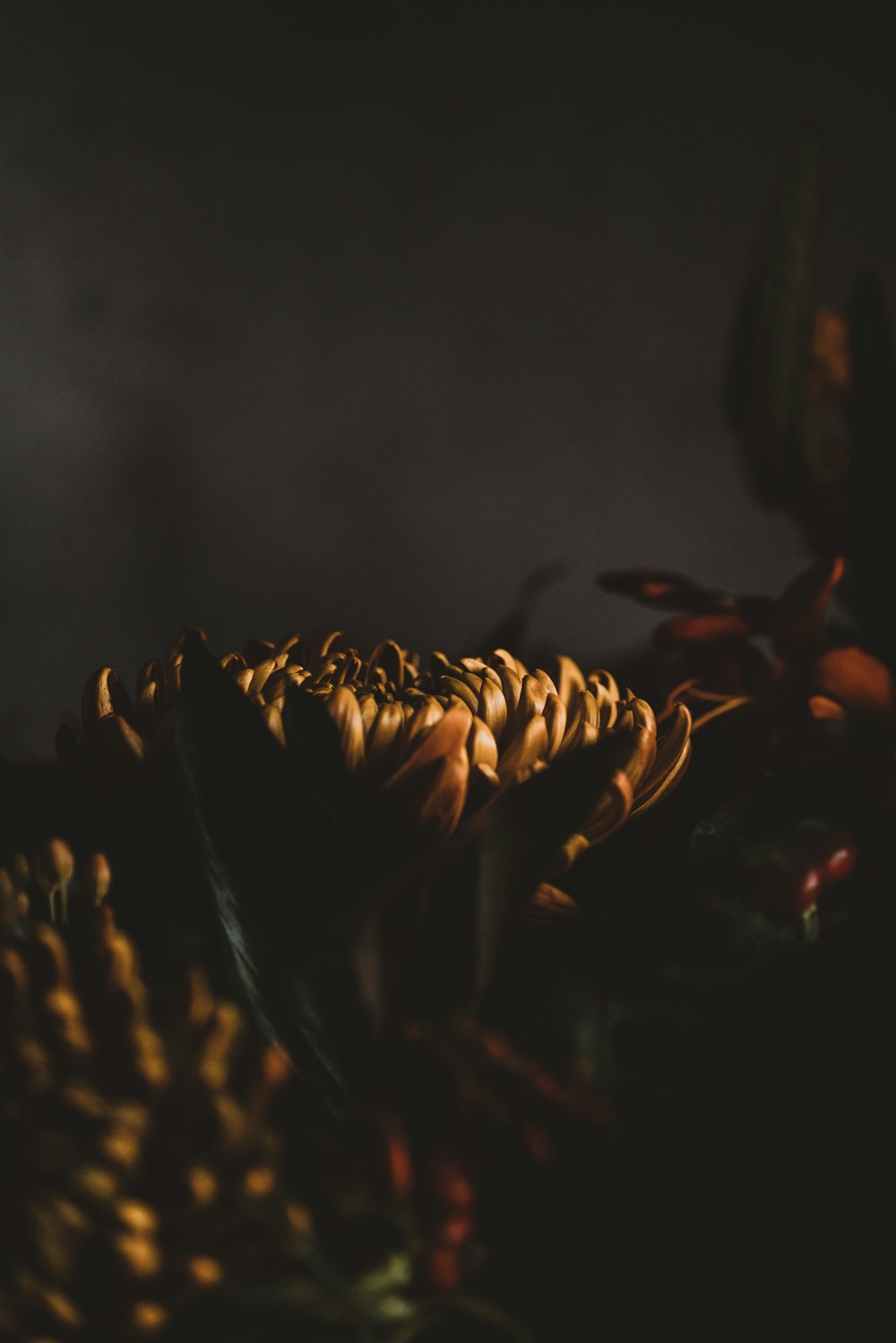 Selektive Fokusfotografie von Blumen