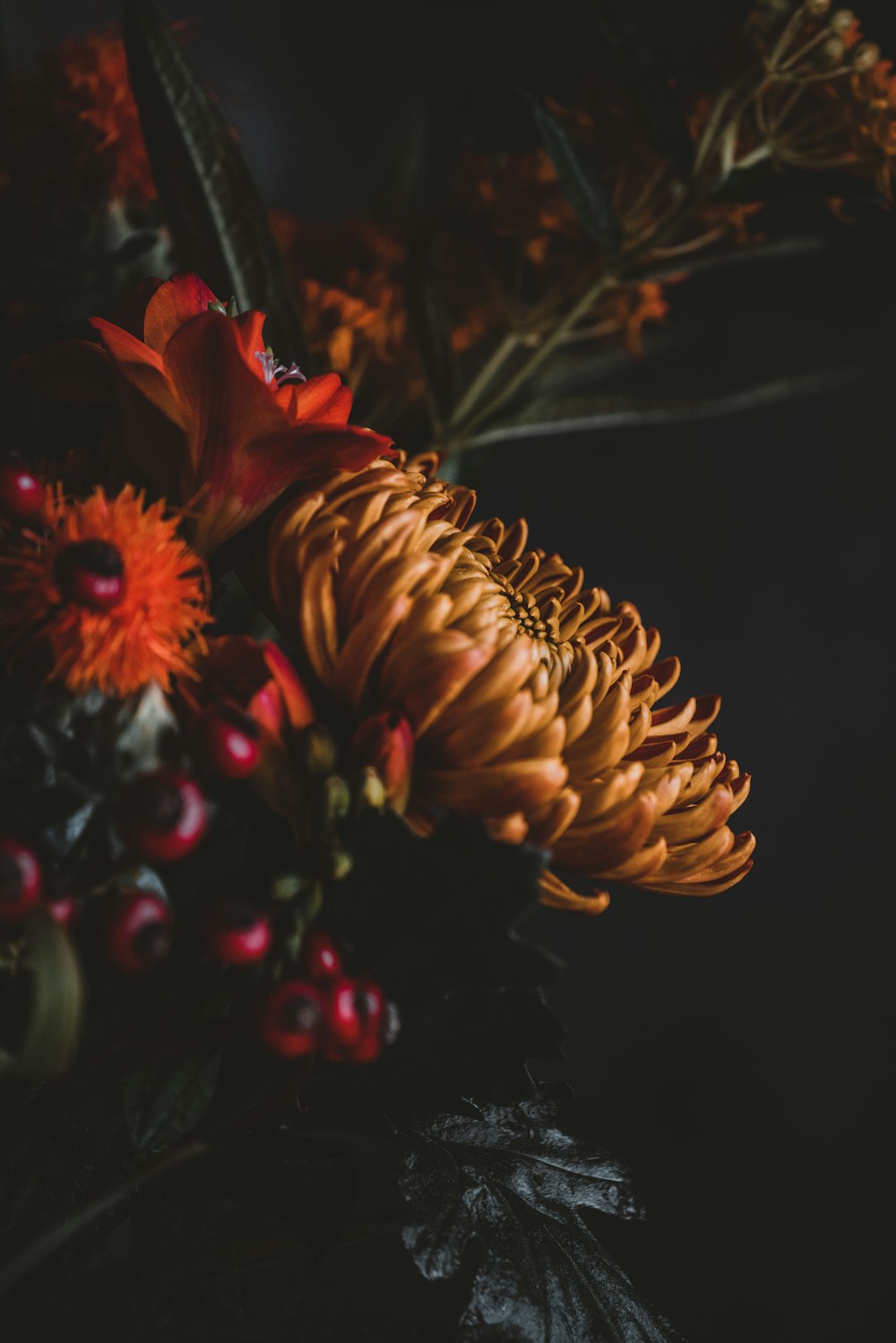 Foto de primer plano de flor de pétalo amarillo