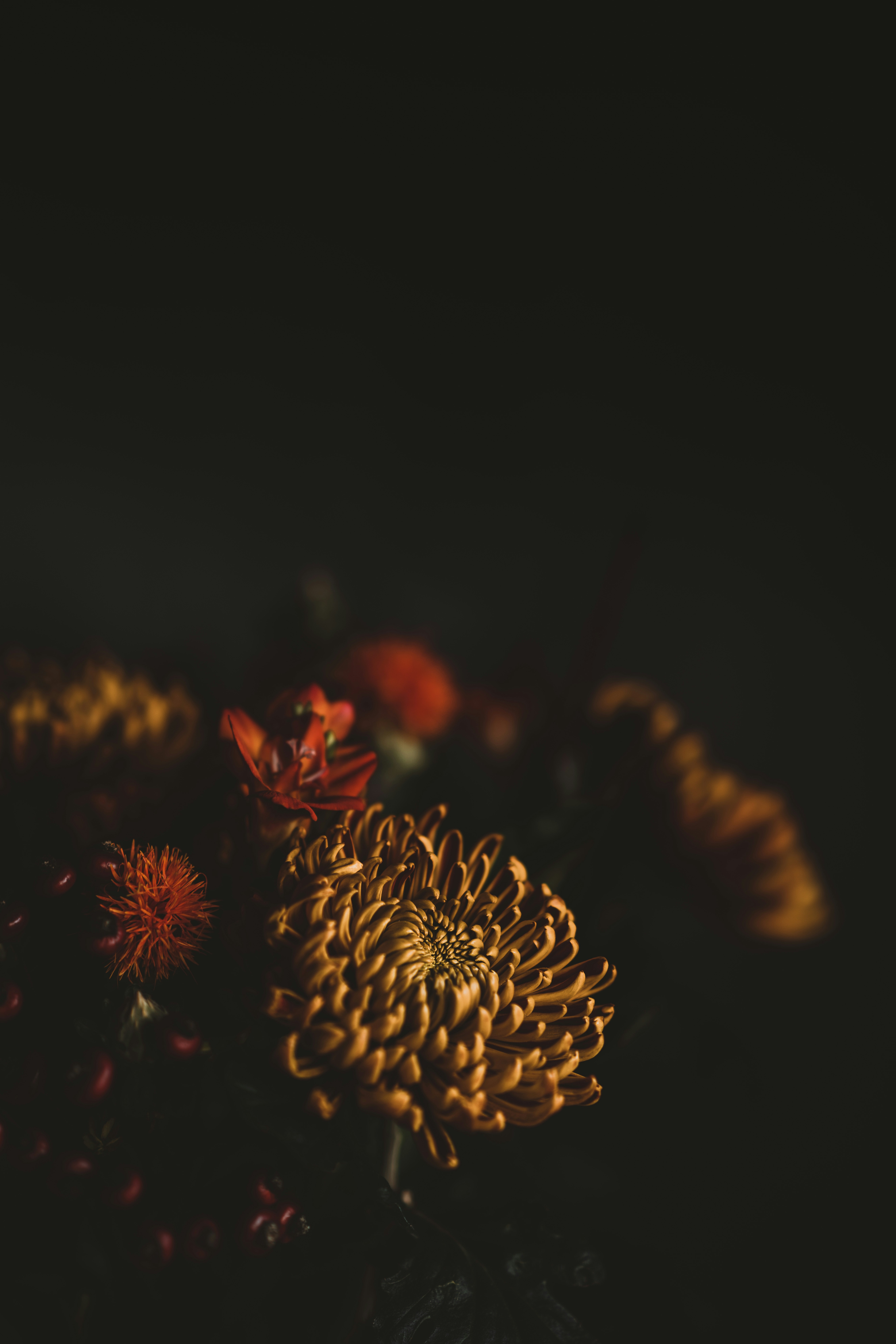 Photo by anniespratt