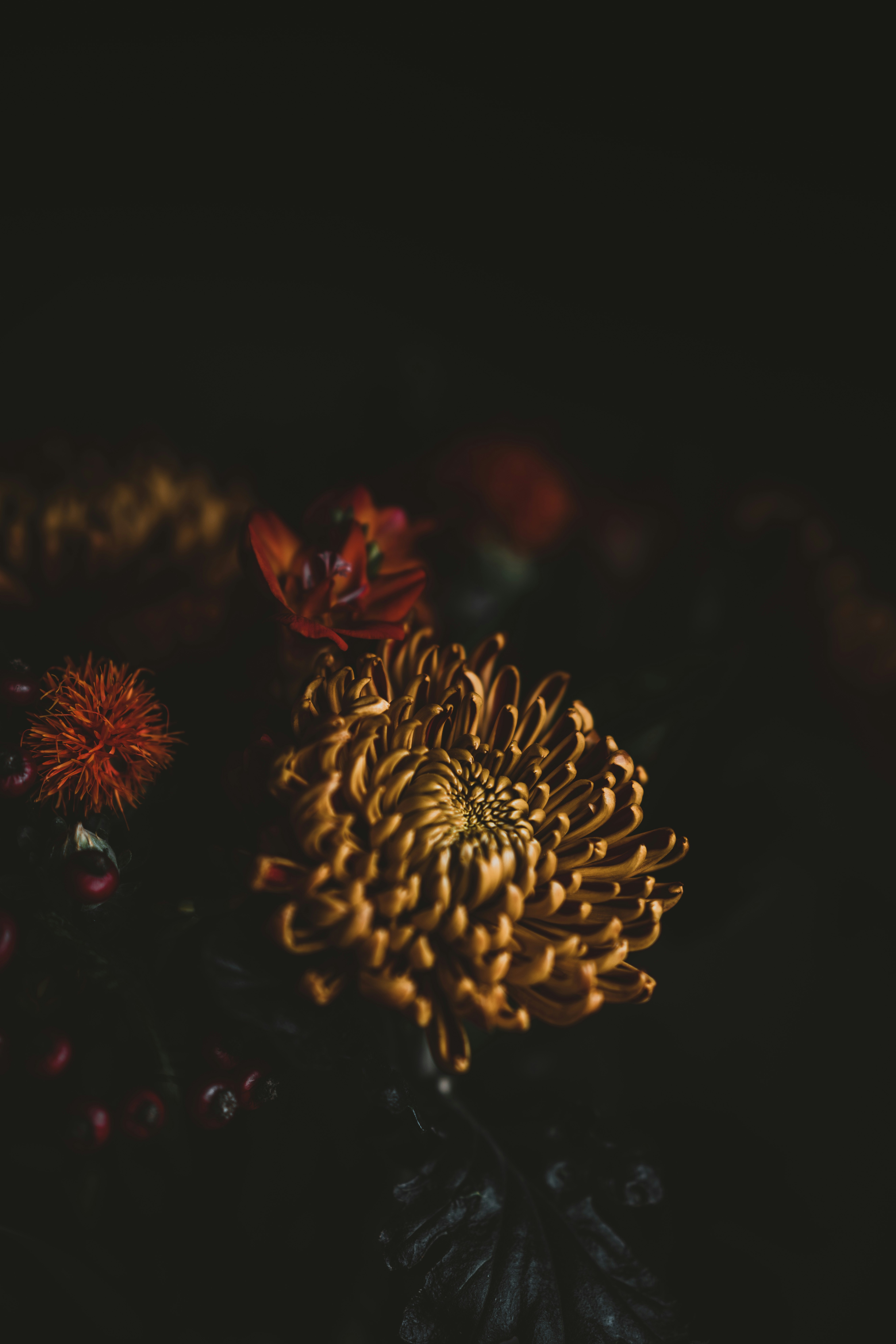 Photo by anniespratt