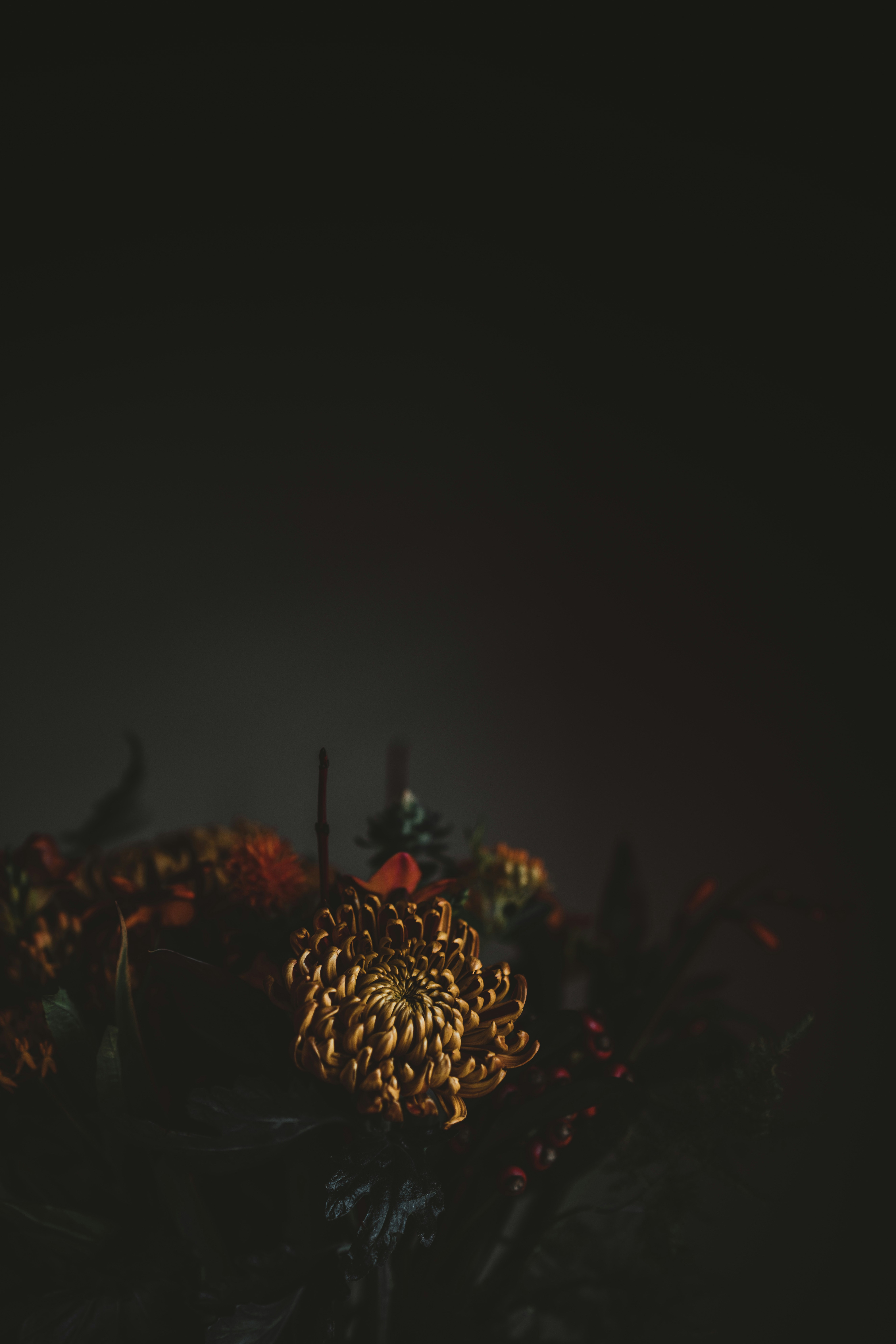 Photo by anniespratt