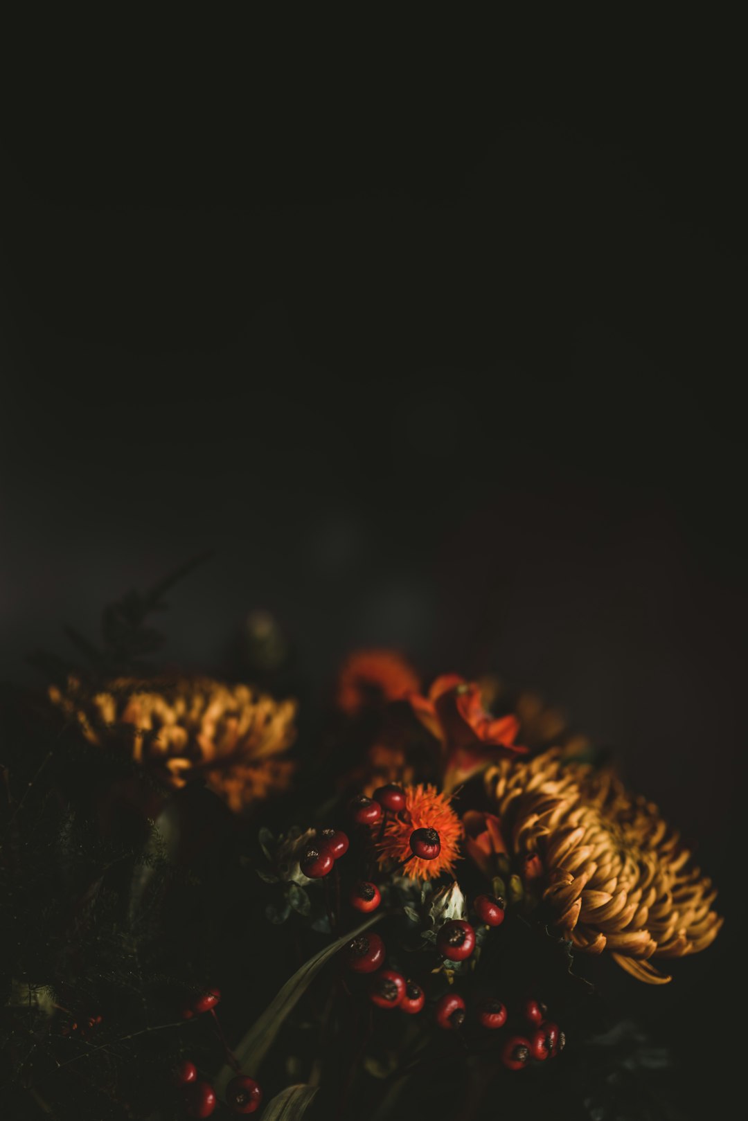 assorted-petaled flowers