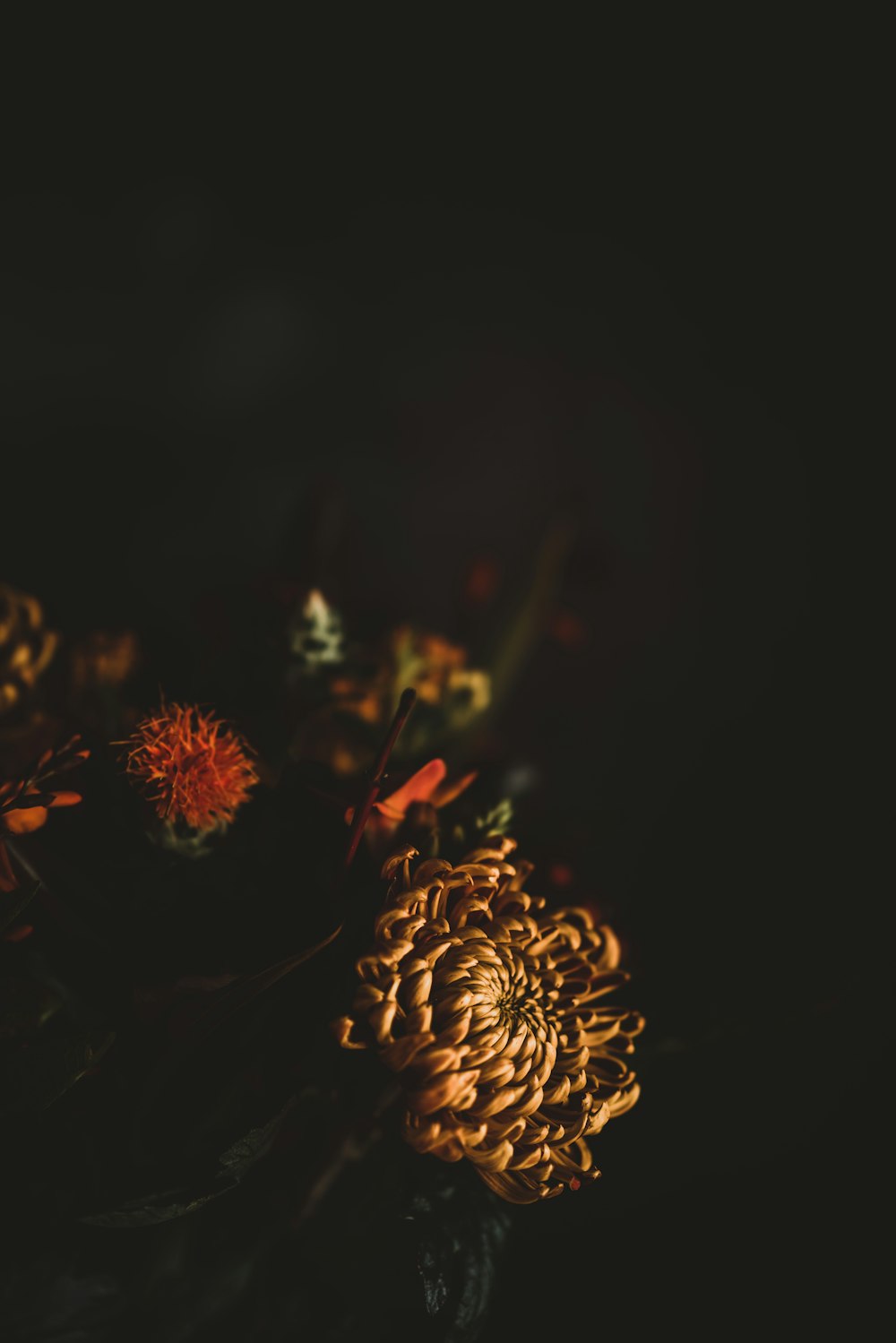 a close up of a bunch of flowers on a table