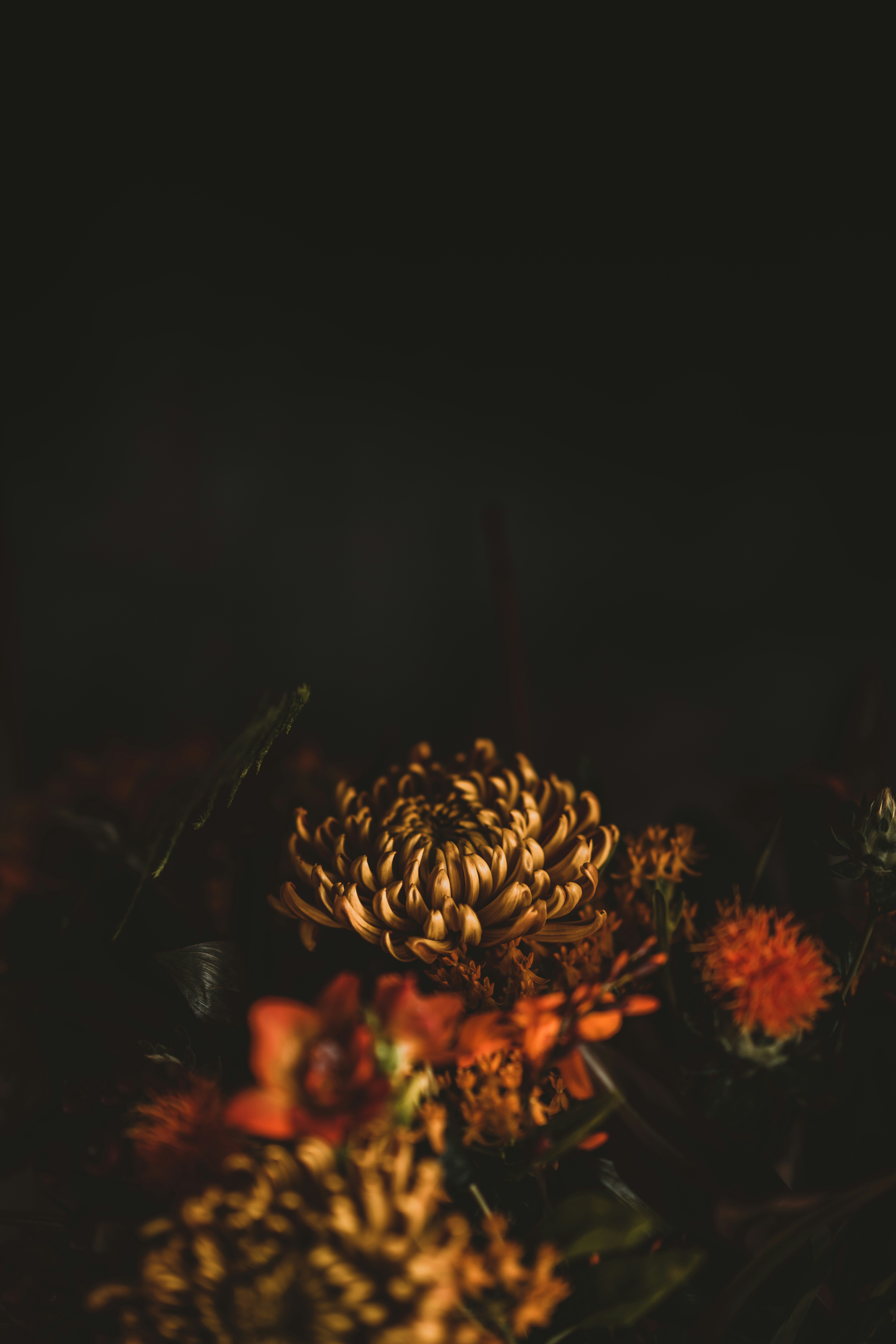 Photo by anniespratt