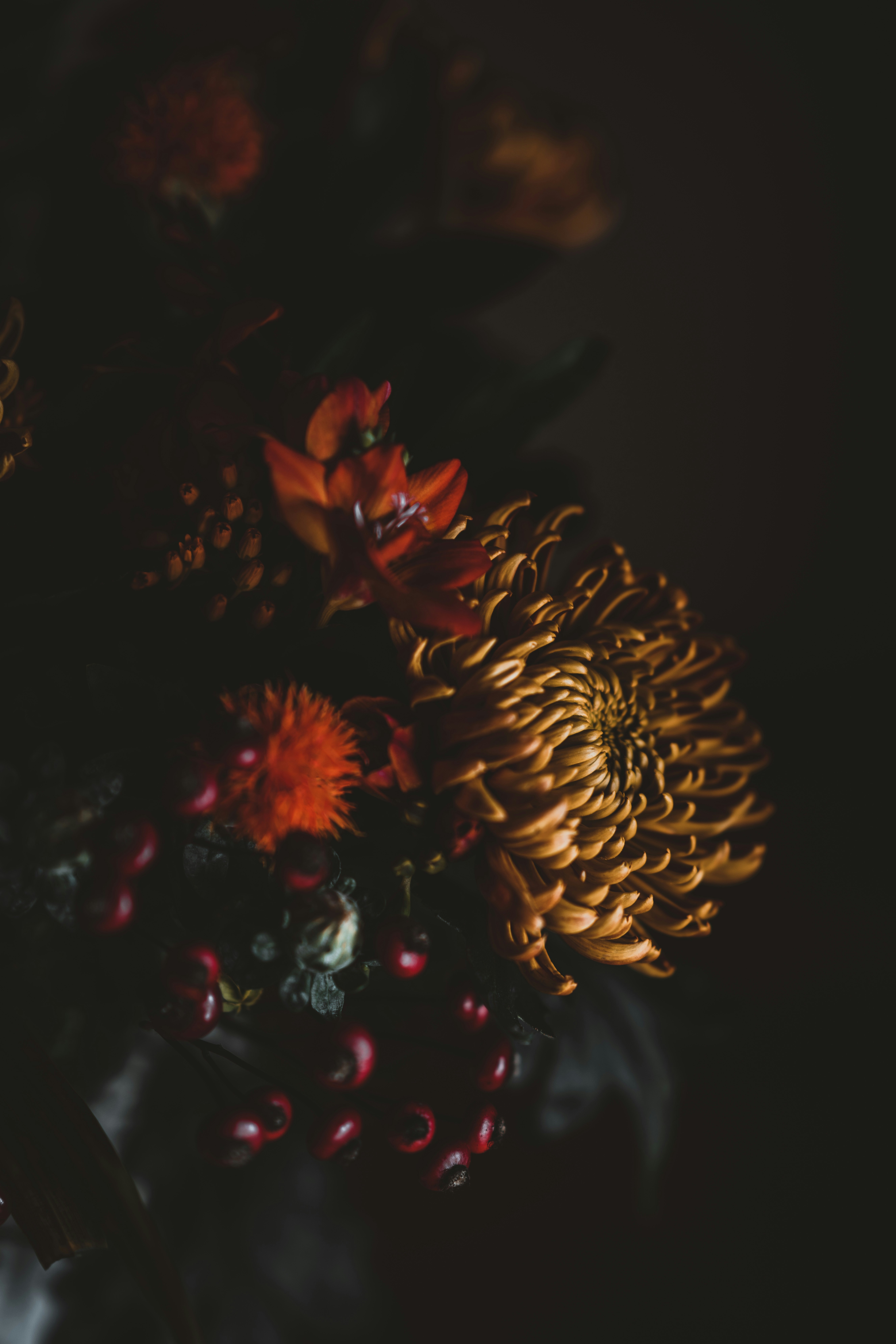 Photo by anniespratt