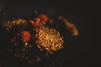 Close-up of delicate floral arrangements featuring sunset orange blooms and navy ribbons.