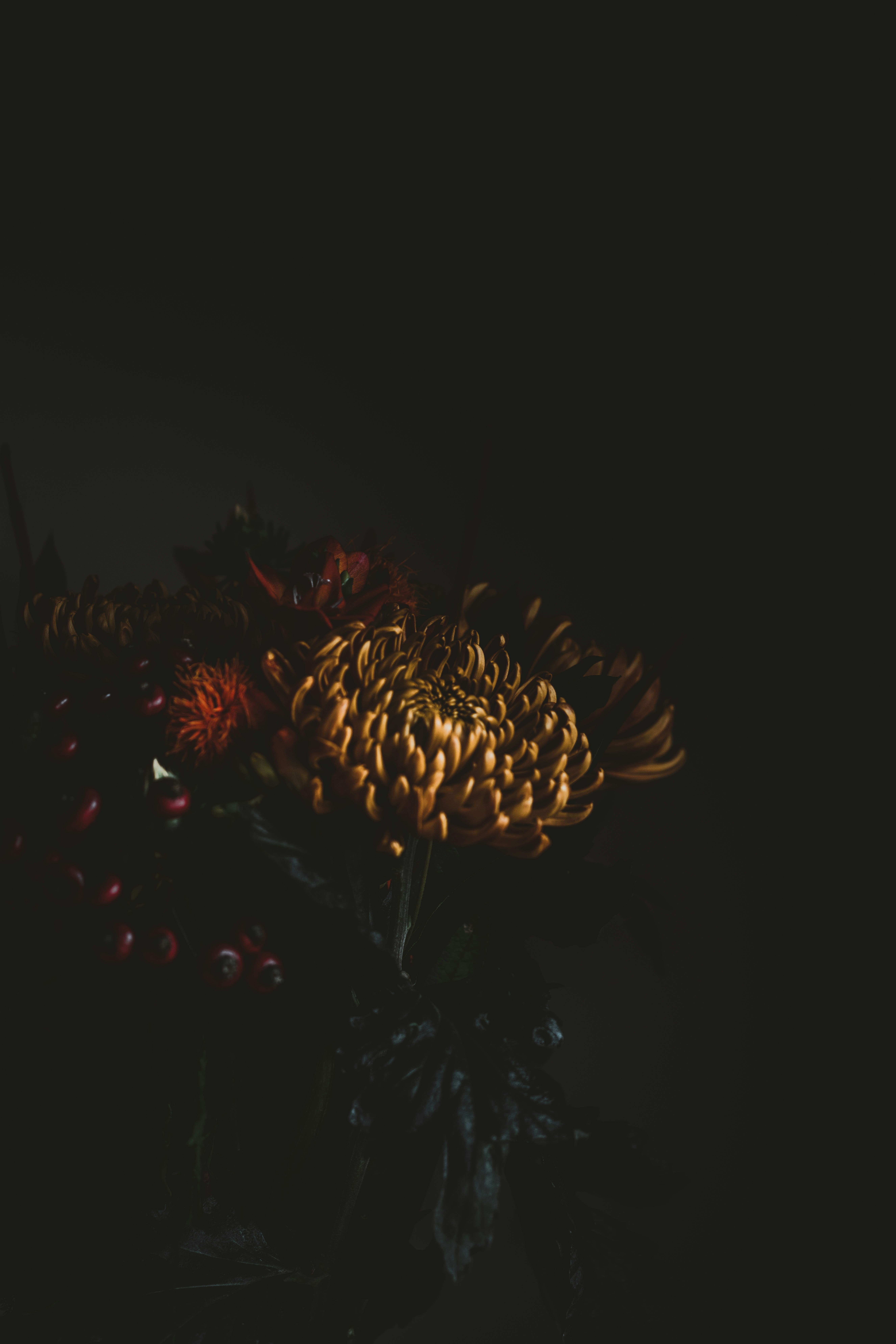 Photo by anniespratt