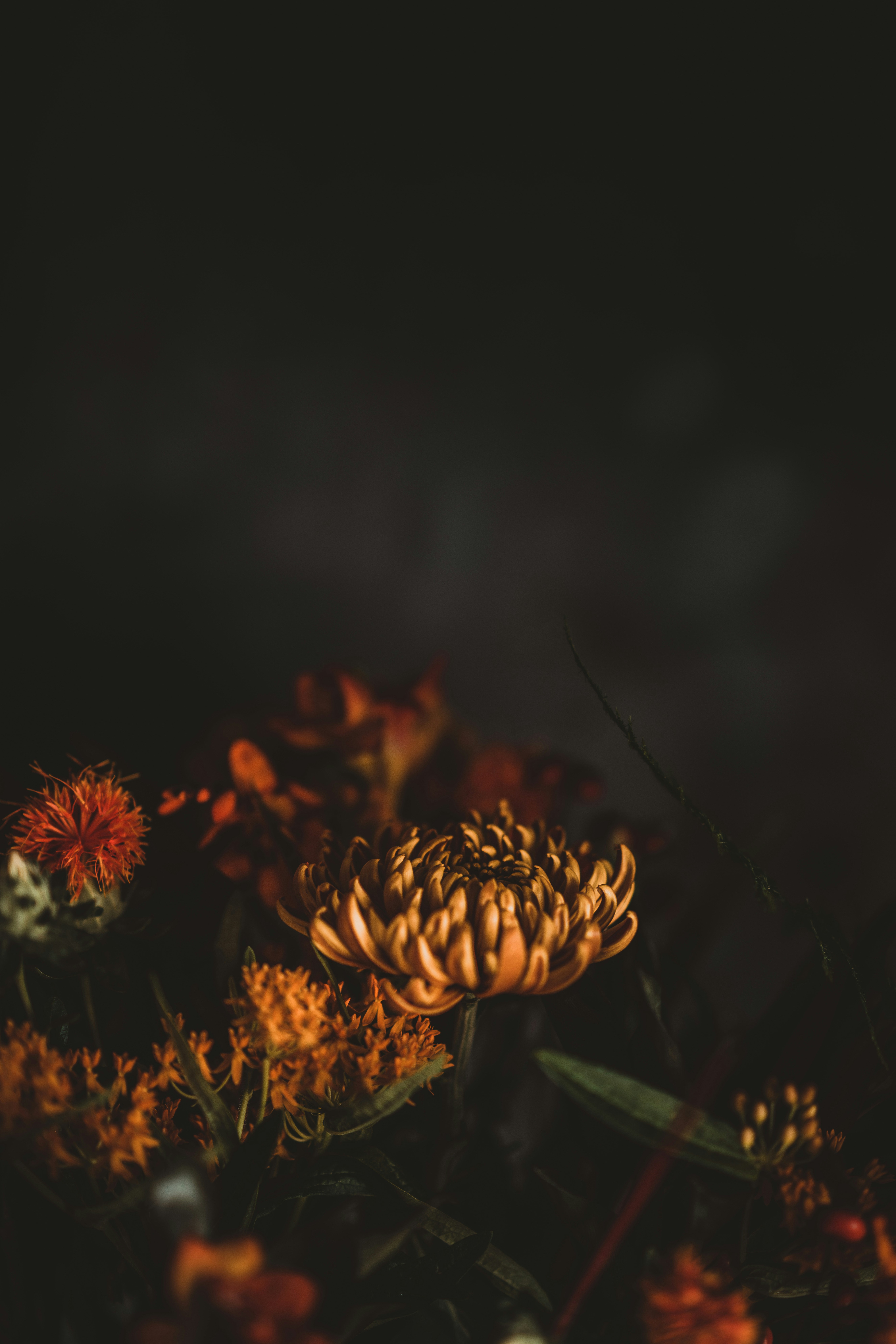 Photo by anniespratt