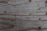 Close-up of a handcrafted wooden kitchen countertop with natural grain patterns.