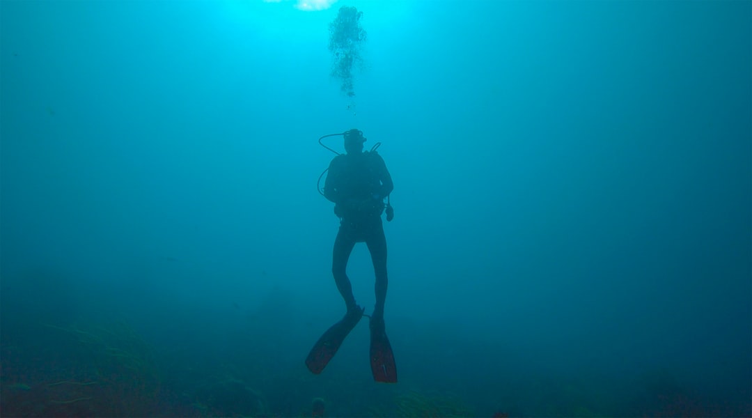 man scuba diving in water, Me and my family went on a vacation to Bonaire. Me and my dad went diving a lot there. We too