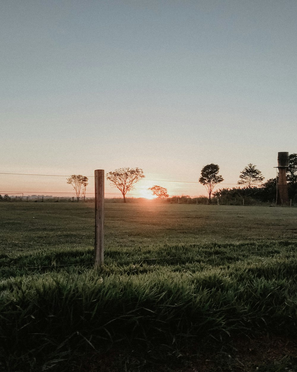 green land during golden hour