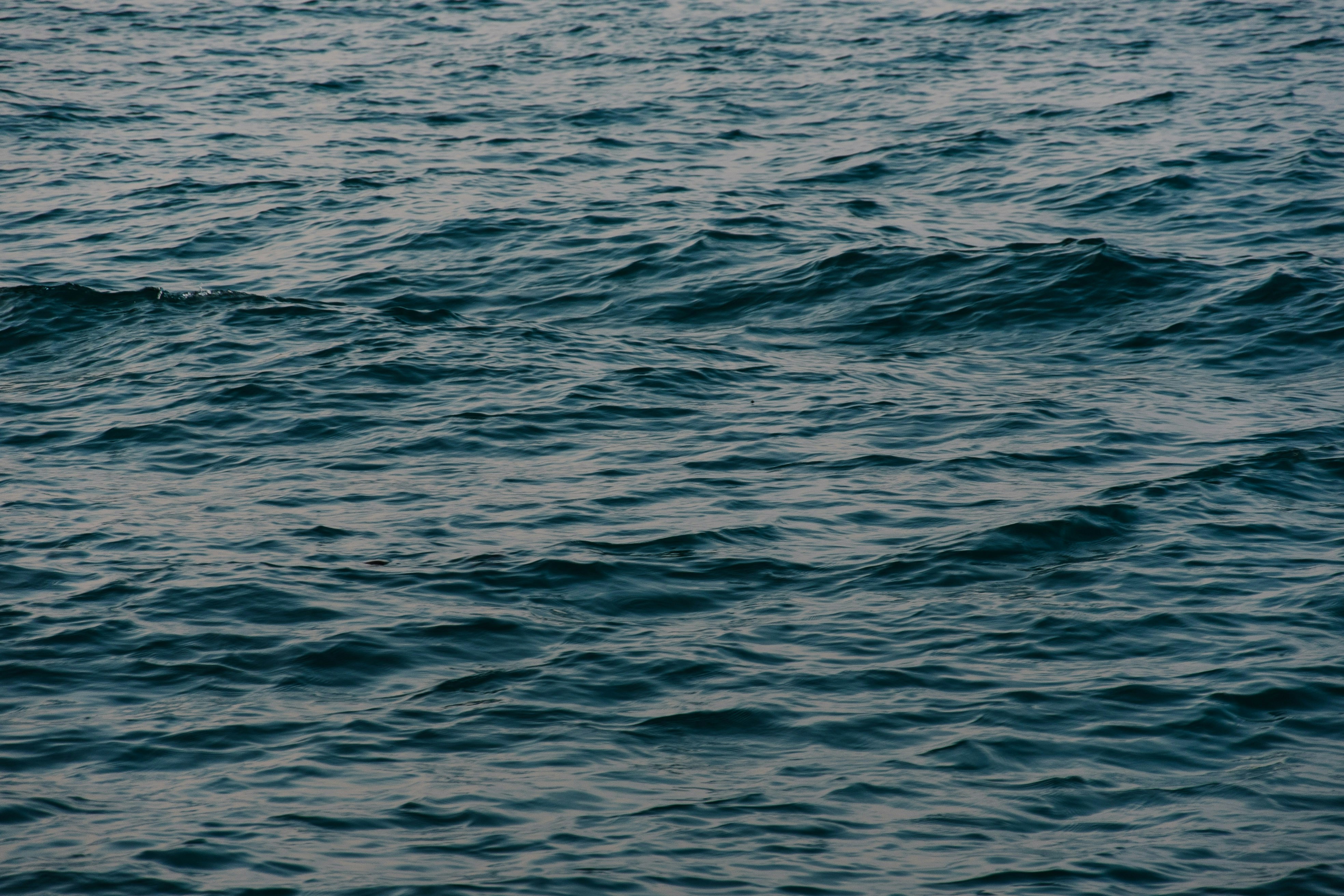 Photo by chuttersnap