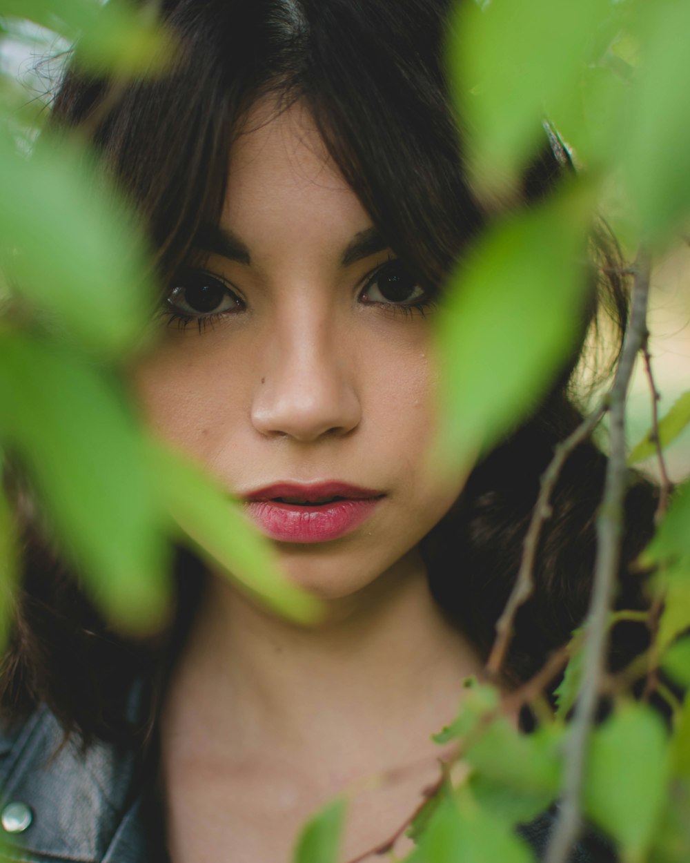 mujer detrás de la planta de hojas verdes