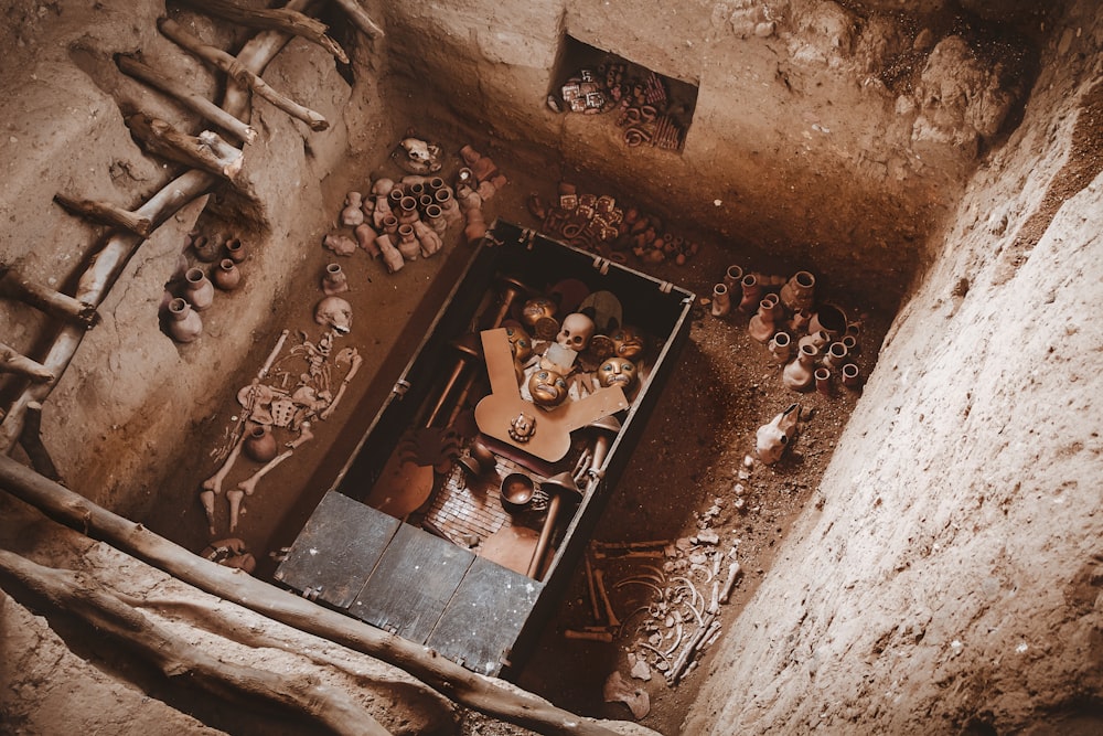 a room filled with lots of skeletons and bones