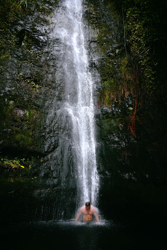 man swimming under waterfalls in Mānoa United States